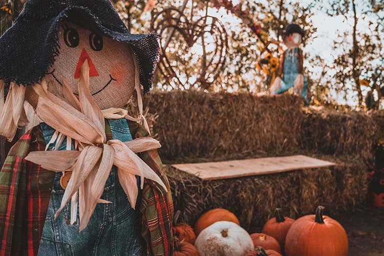 Halloween i Modelparken Danmark - Envato billede