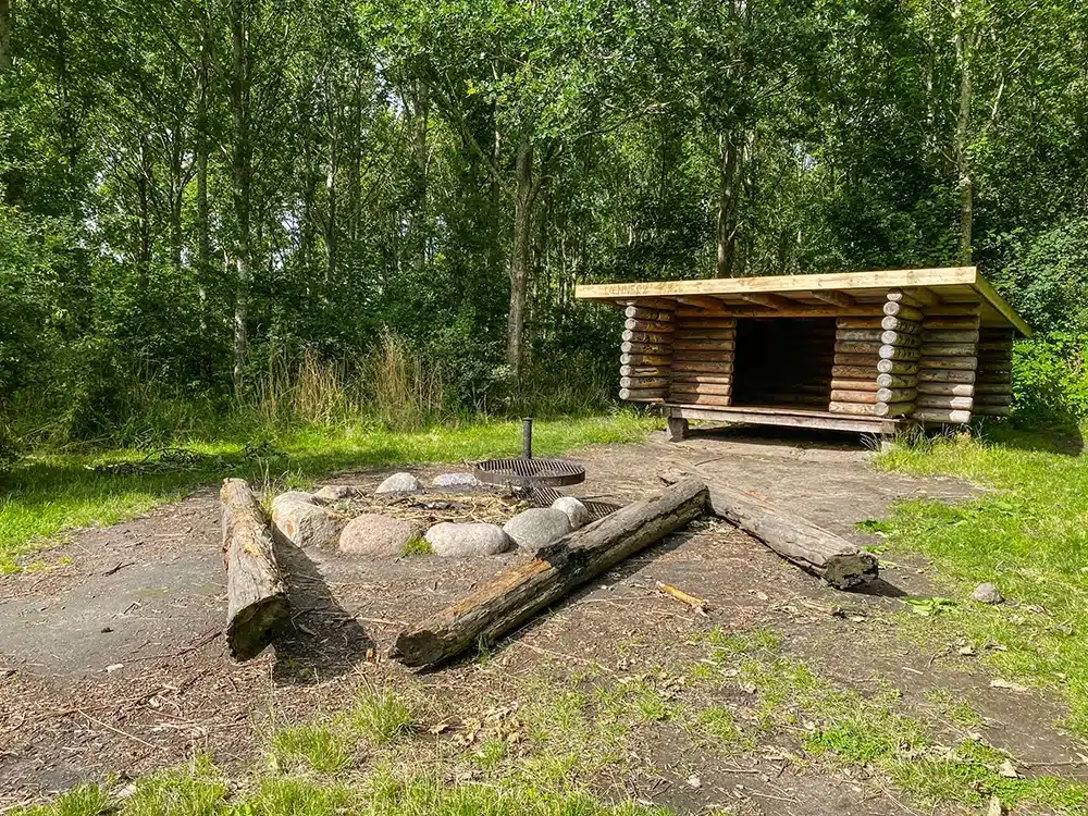 Shelter og bålplads midt i Brendstrup Skov