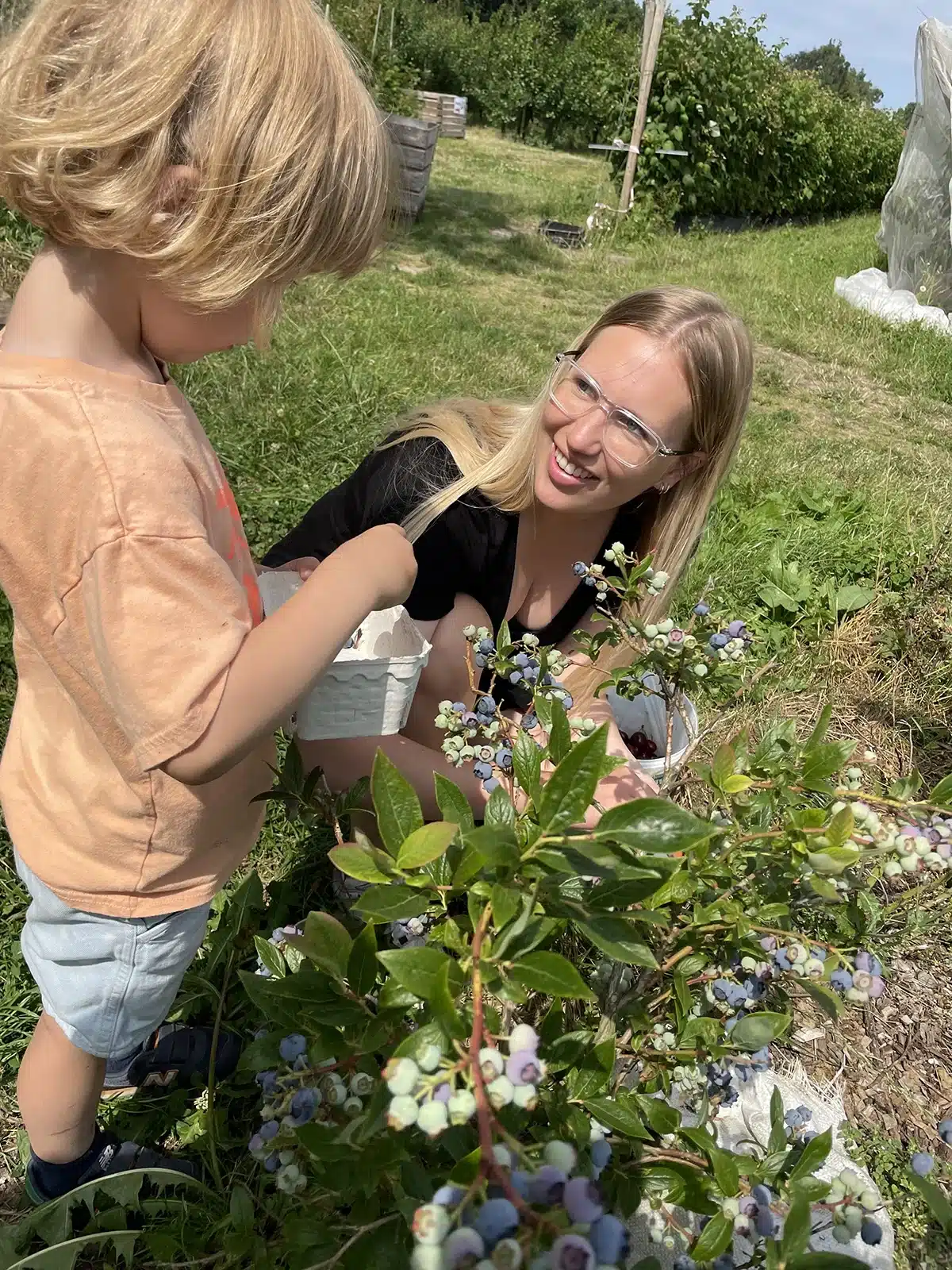 Laura Varming fra Wbalance plukker friske bær med barn Laura Varming fra Wbalance plukker friske bær med barn