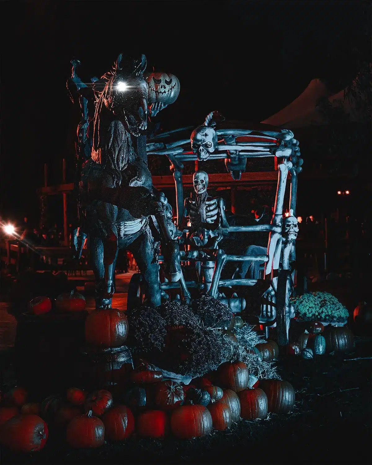 Skeletvogn og rytter omgivet af græskar i Djurs Sommerland Halloween After Dark