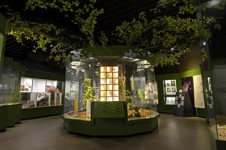 Foto - Naturhistorisk Museum i Aarhus