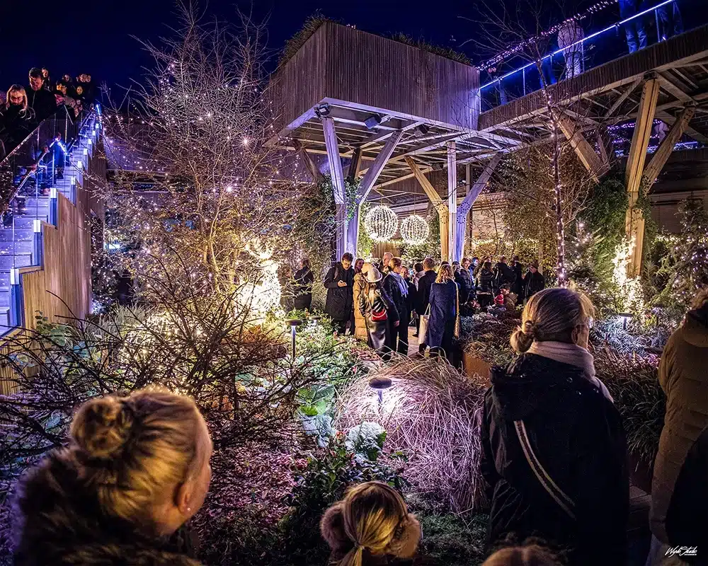 Lysinstallationer, juletræer i Salling Christmas Garden