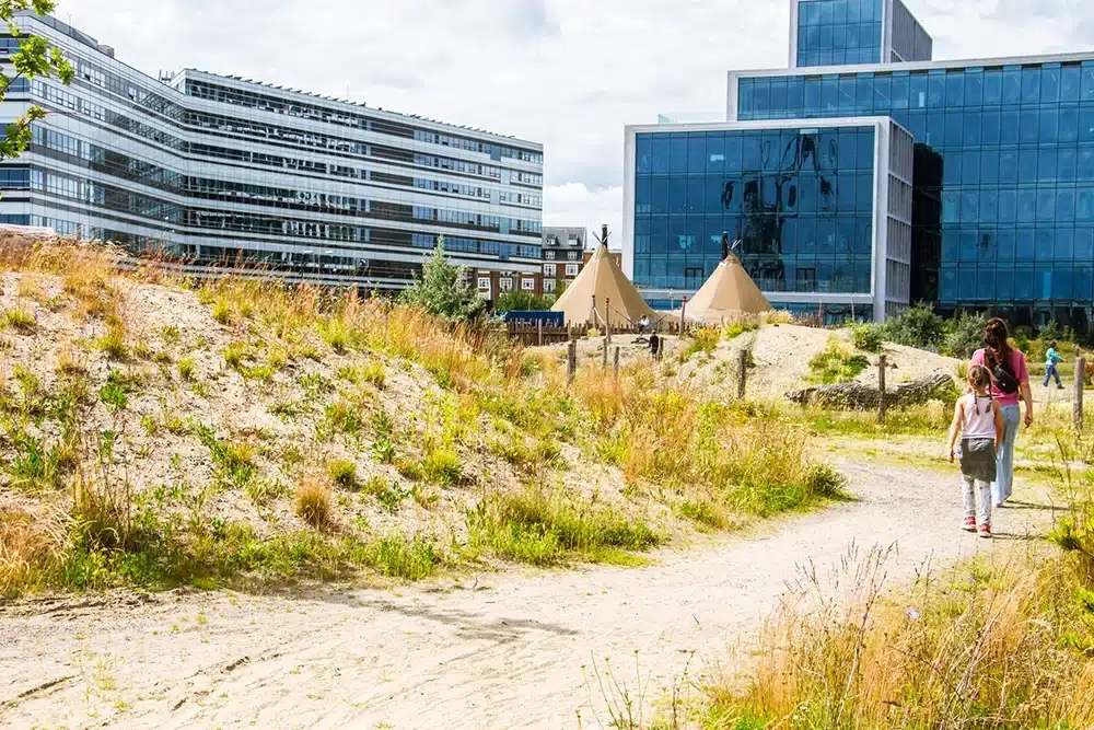 En sandet sti snor sig gennem det kuperede terræn på Pier 2