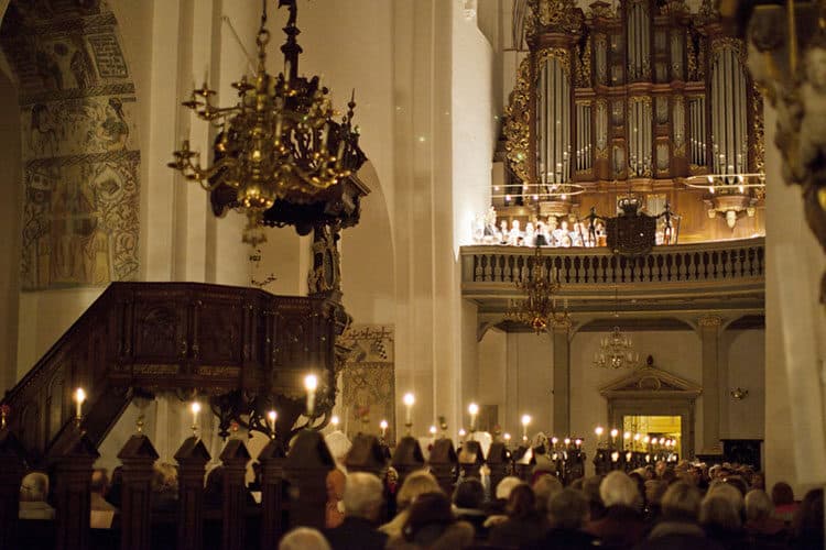 Katedralsamtale: Er vi på vej ind i dumhedens guldalder