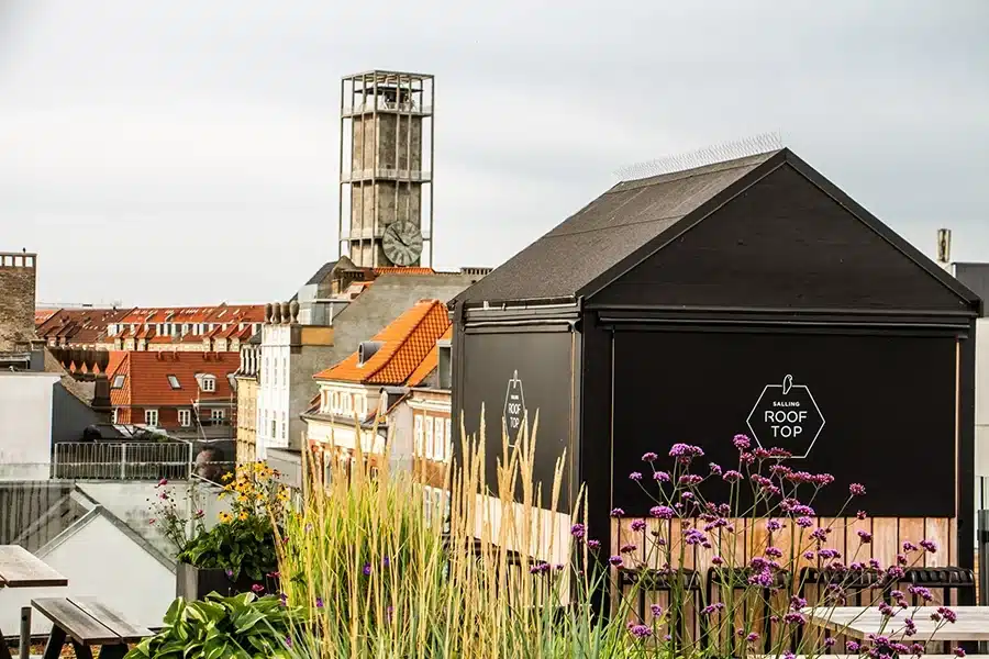 Byens tage og spir set fra Salling Rooftop