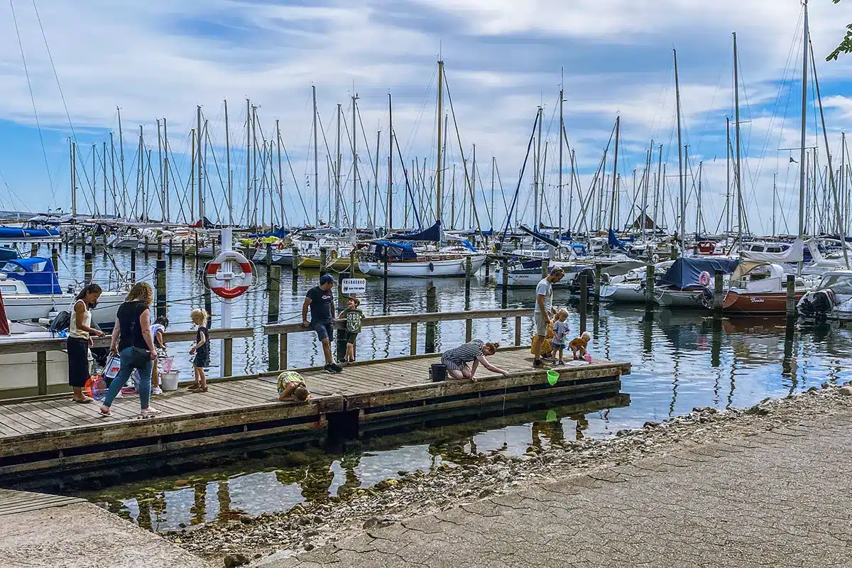 Familier fisker krabber ved broen i Egå Marina