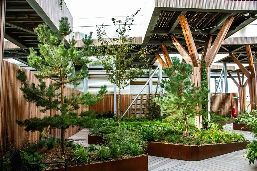 Frodig byhave med fyrretræer i Salling Rooftop Roofgarden