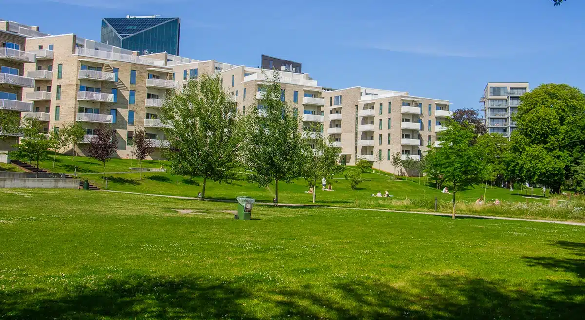 Græsplæne foran moderne boliger ved Ceres Parken