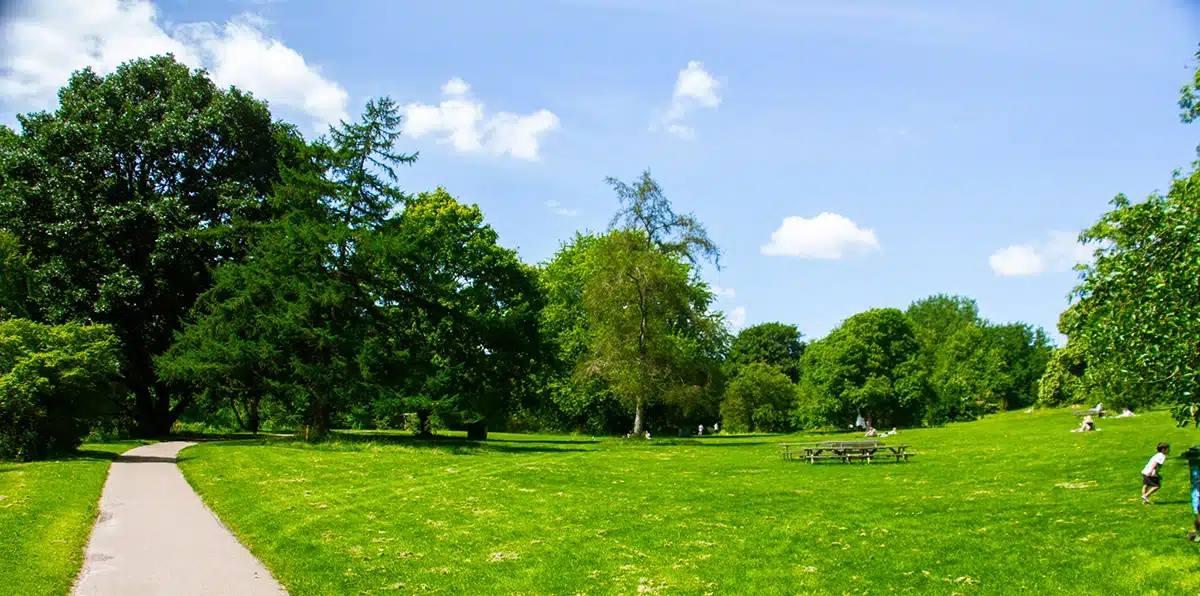Grøn plæne og stier i botanisk have