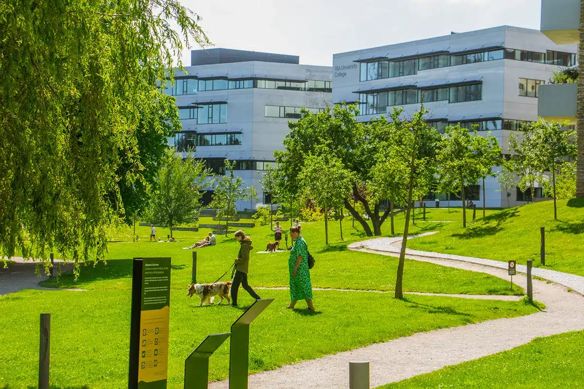 Hundeluftere og picnic på græs i Ceres Parken