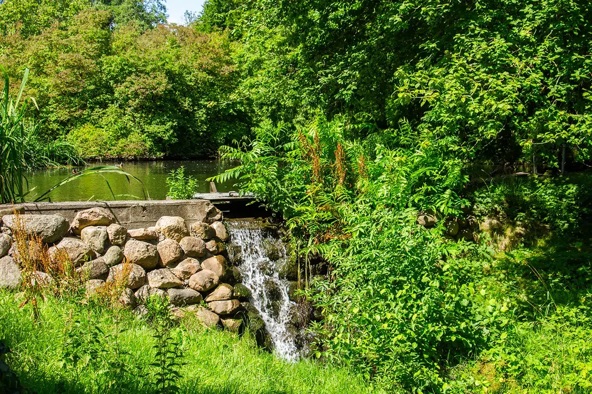 Lille vandfald ved sø i botanisk have