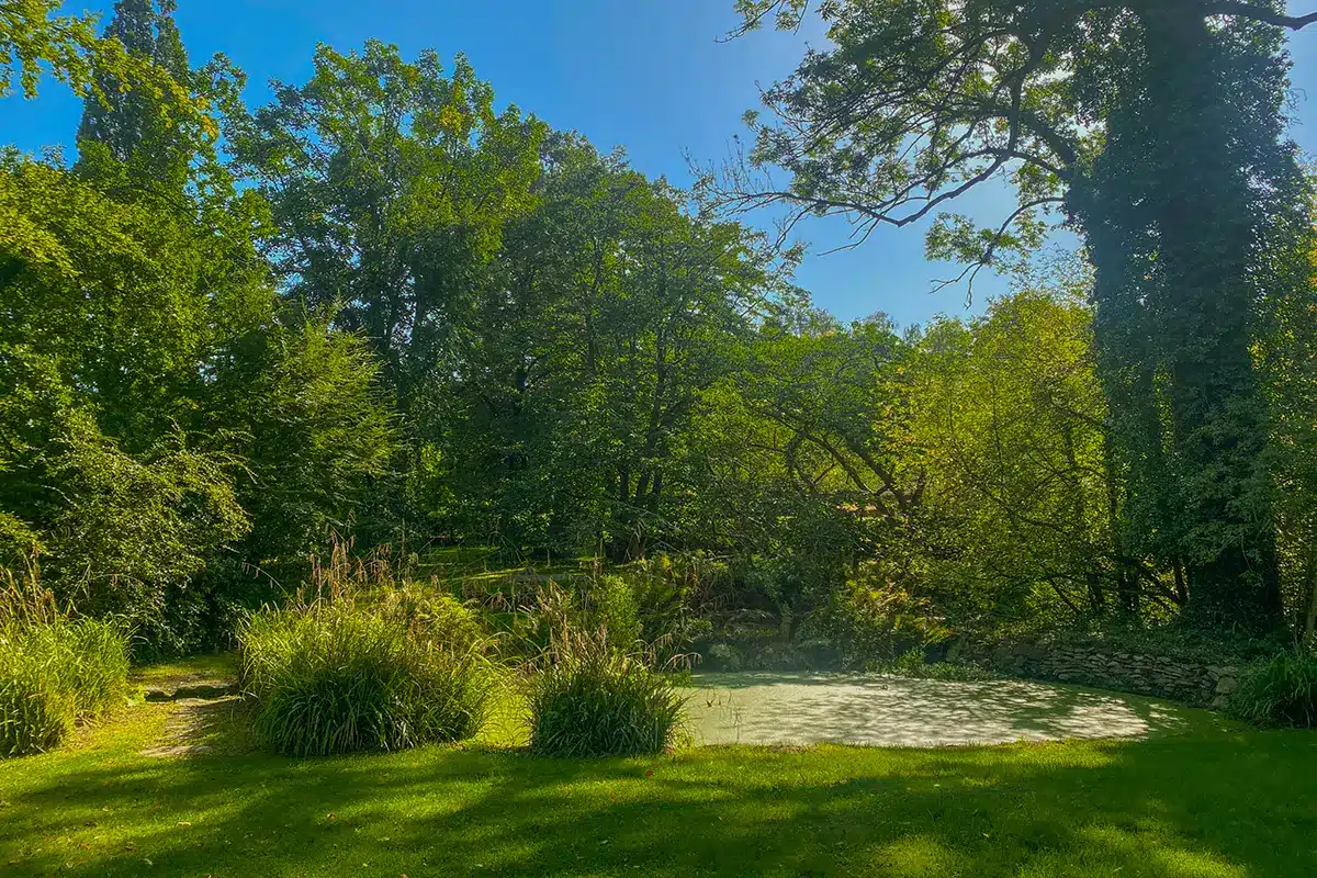 Sø med siv og spejlende vand omgivet af træer i Forstbotanisk Have
