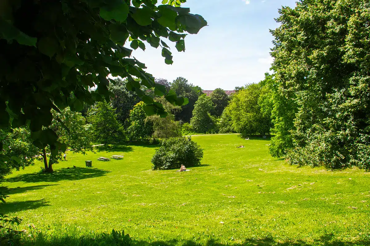 Solbadere på grøn skråning i botanisk have