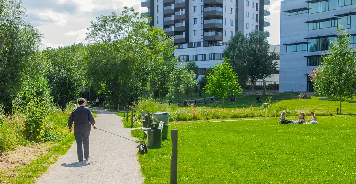 Sti og picnic på græsset i Ceres Parken