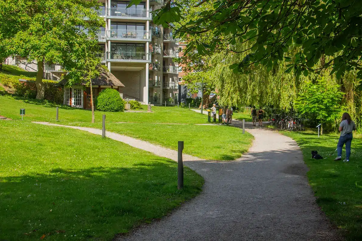 Stier mødes ved pavillon og boliger i Ceres Parken