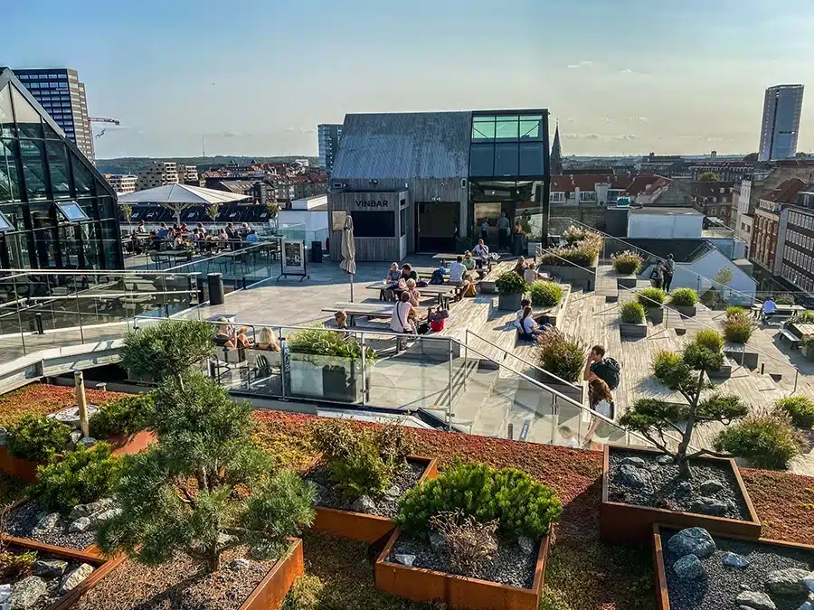 Udendørs vinbar og afslapning i solen på Salling Rooftop
