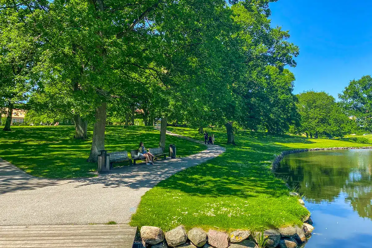 Bænke og sti langs søen i Universitetsparken