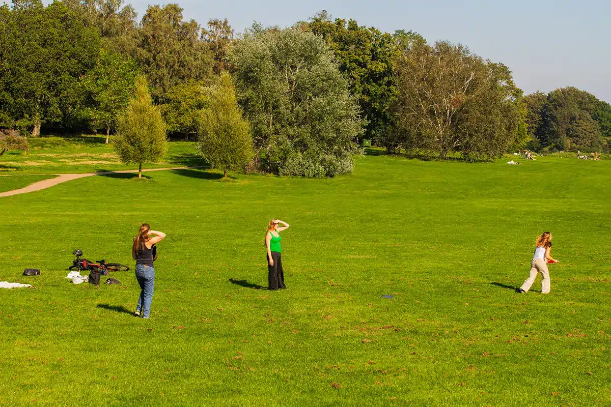 Unge nyder en solskinsdag med picnic på plænen i Mindeparken