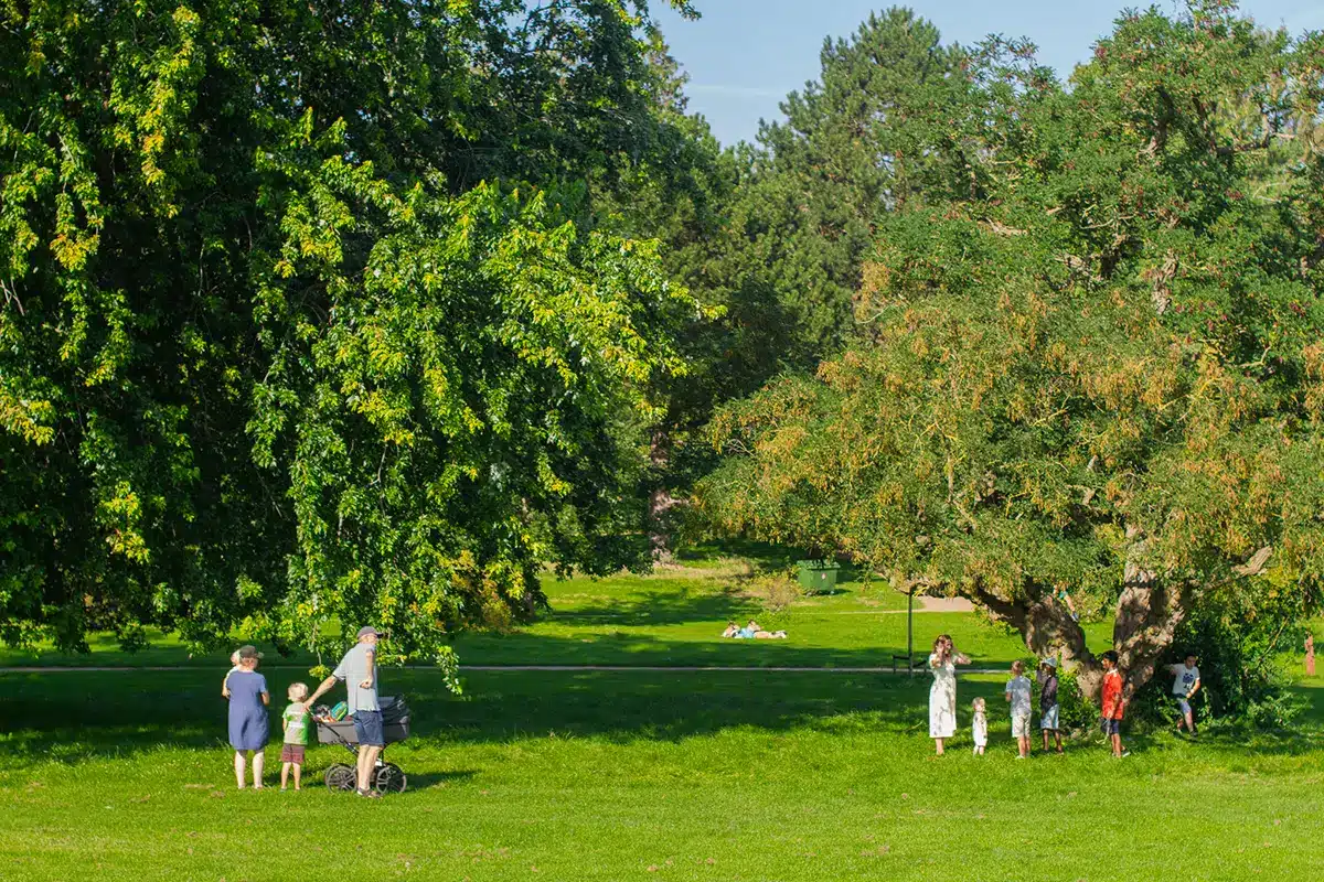Brede grønne plæner med plads til leg i Mindeparken