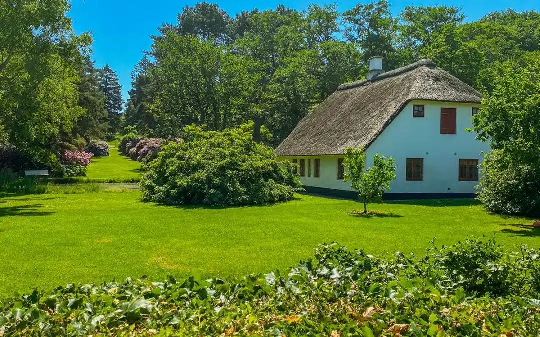 Det hvide Donbaekhus med straatag omgivet af groen natur i Mindeparken » Aarhus Inside Mindeparken