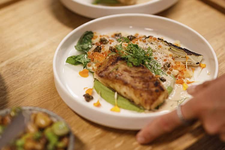 MØF_JÆGERGÅRDSGADE_JULI_2025_ESTHERLOCKHANSEN_PHOTOGRAPHY_67