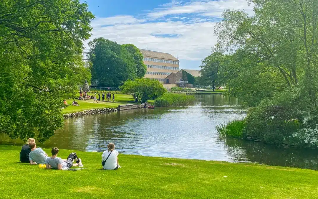 Mennesker slapper af ved soeen i Universitetsparken » Aarhus Inside Universitetsparken