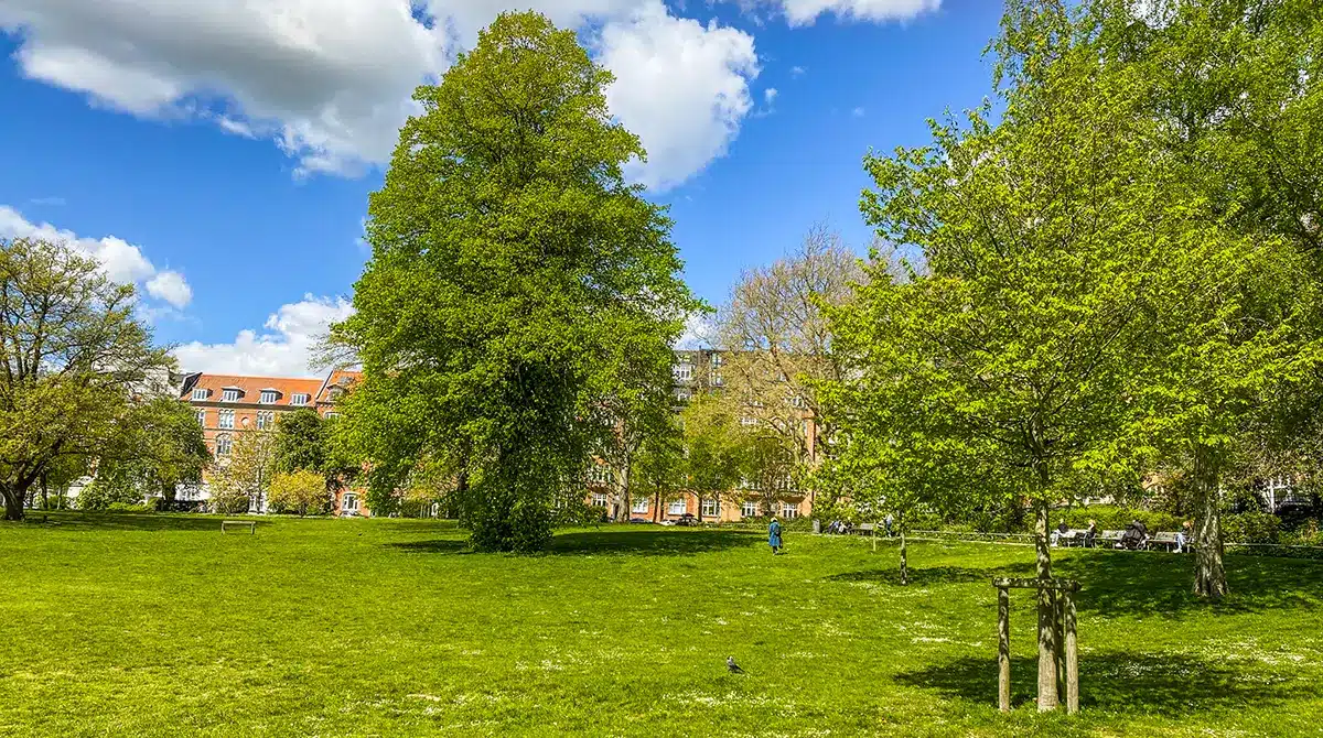 Skanseparken på Frederiksbjerg - udsigt over parken