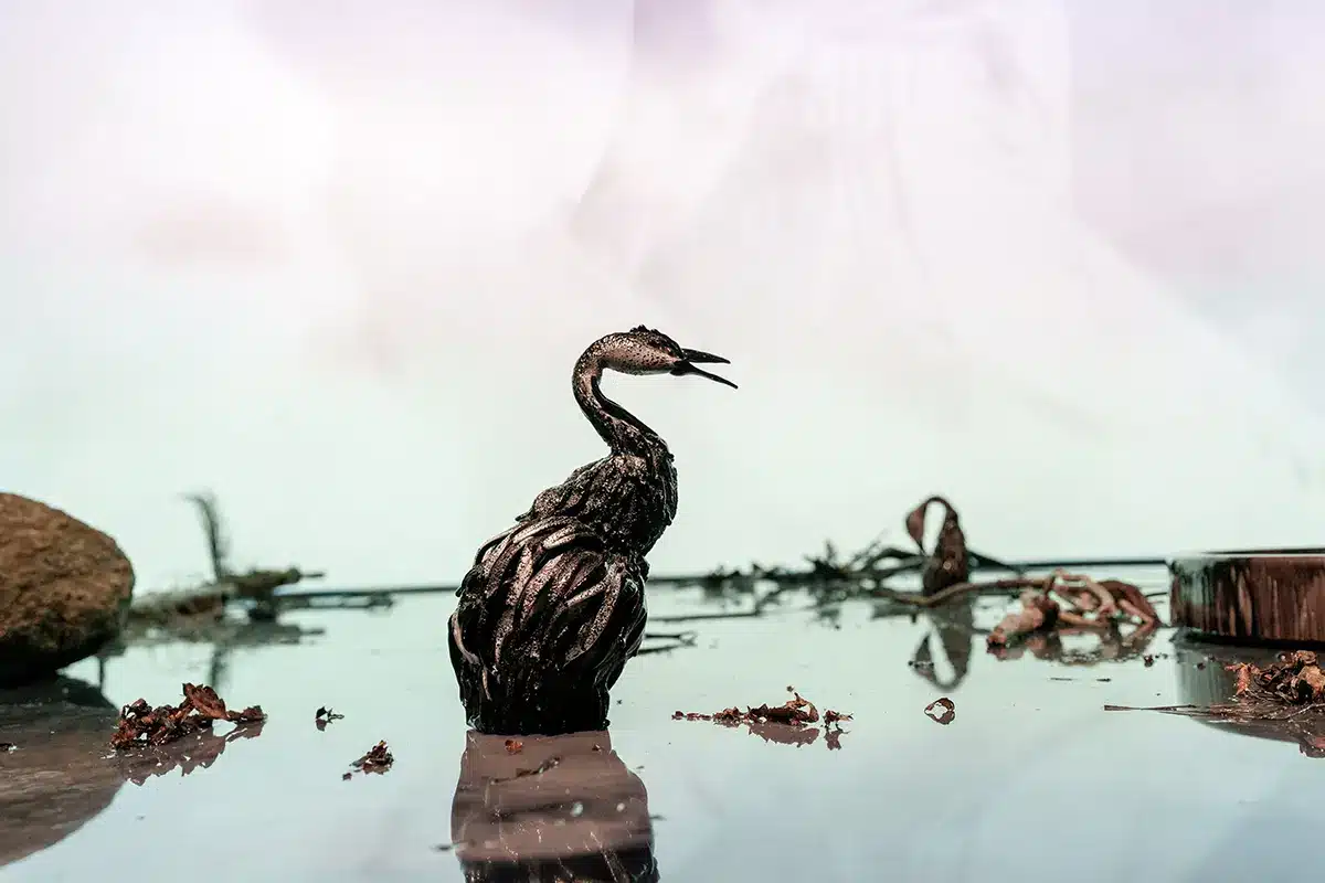 Step Inside, ARoS 2026, Mads Smidstrup14