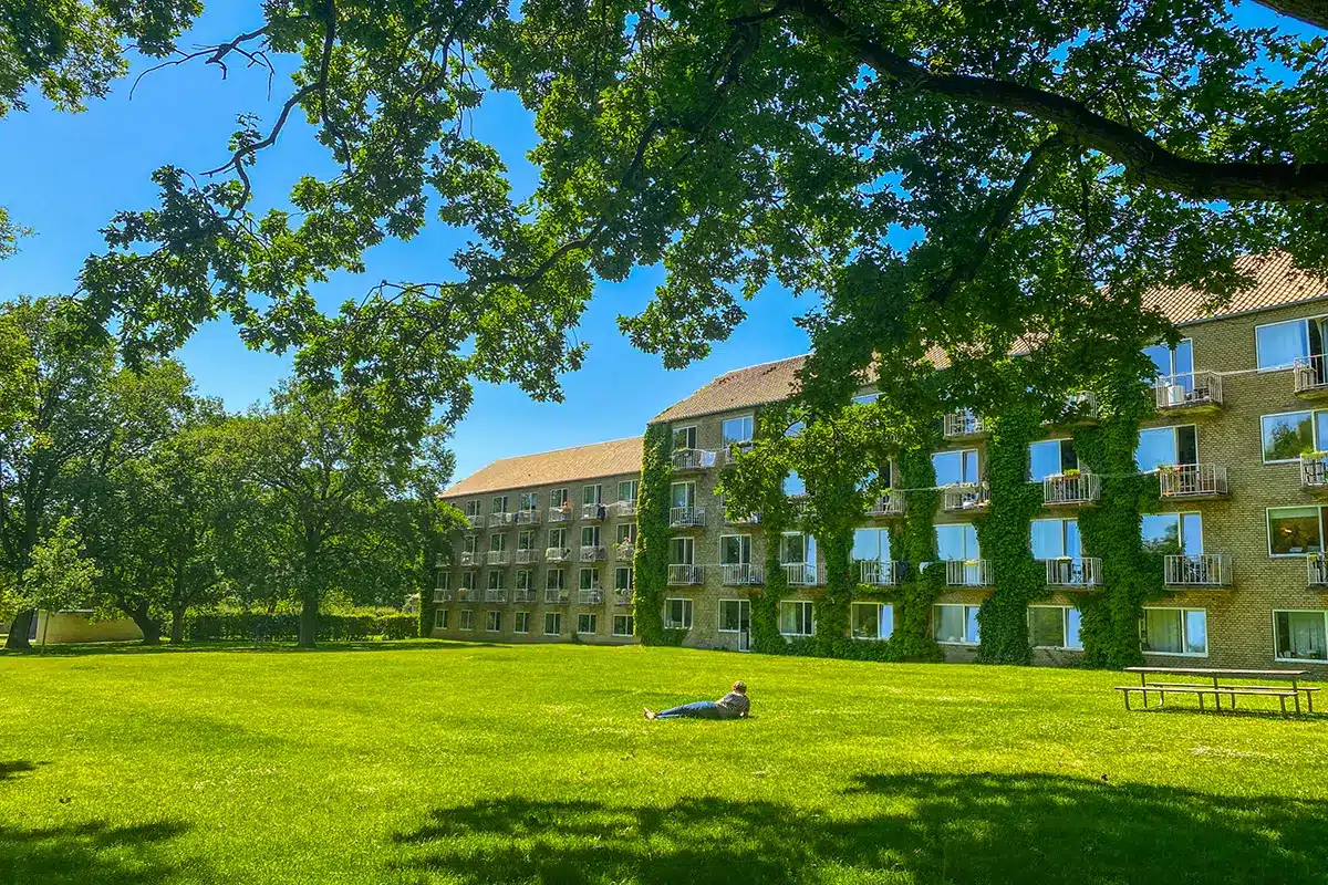 Studerende slapper af på græsset ved Universitetsparken