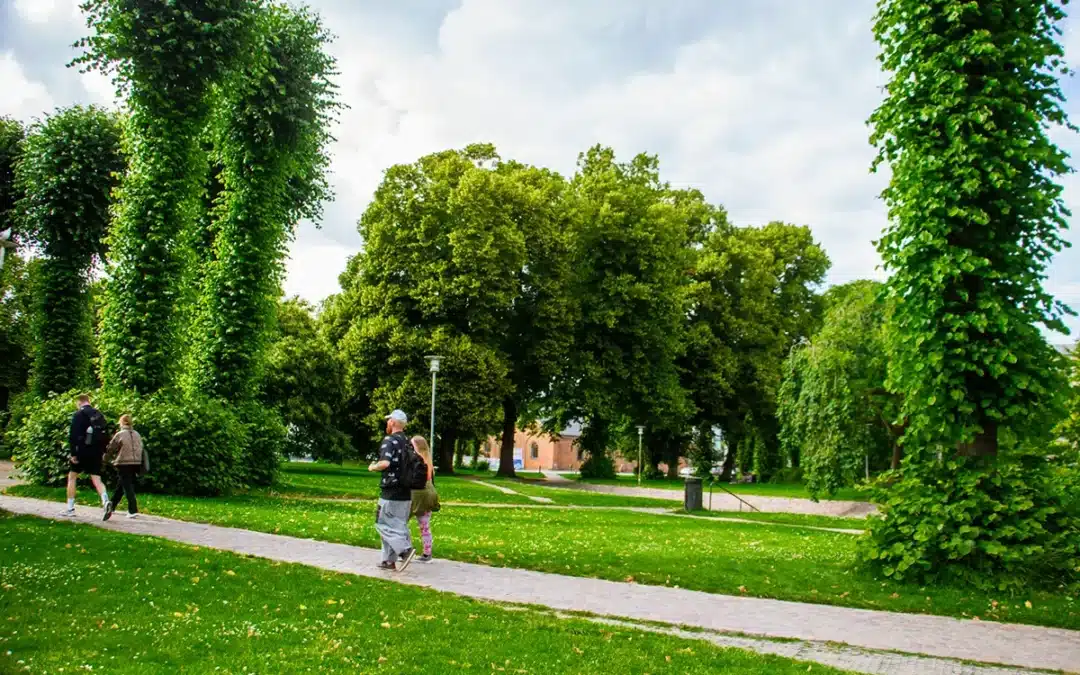 Velanlagte stier og hoeje formklippede traeer centralt i Raadhusparken » Aarhus Inside Rådhusparken