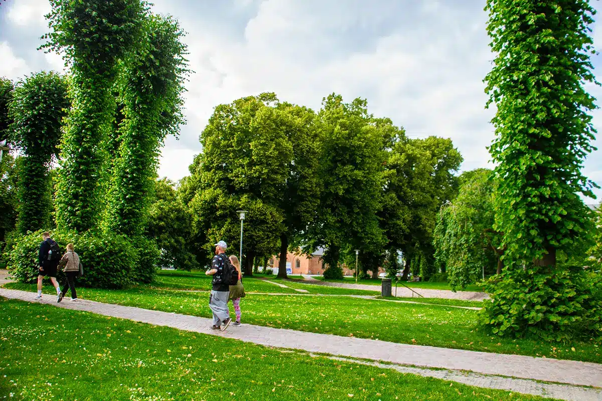 Velanlagte stier og høje formklippede træer centralt i Rådhusparken