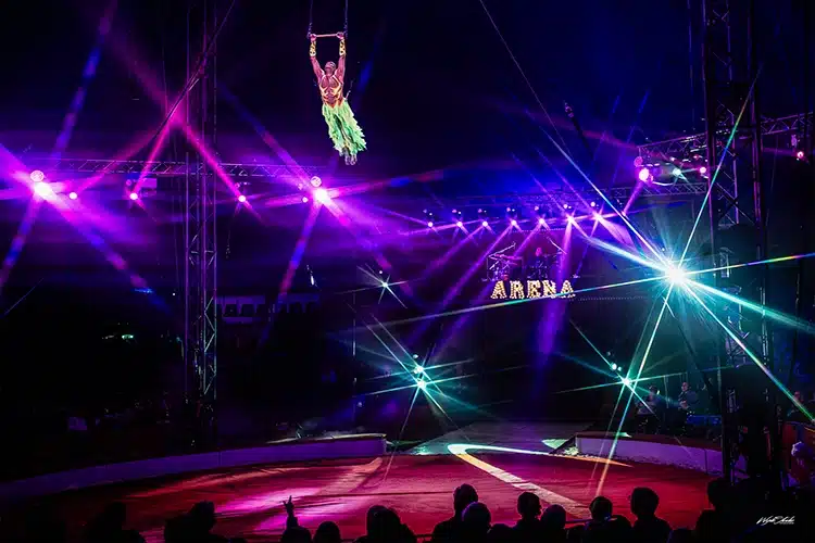 Cirkus Arena 2026: Da manegen åbnede, åbnede noget i mig