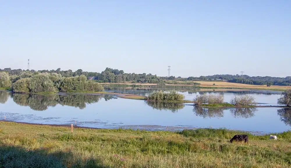 Årslev Engsø udsigt ud over søen