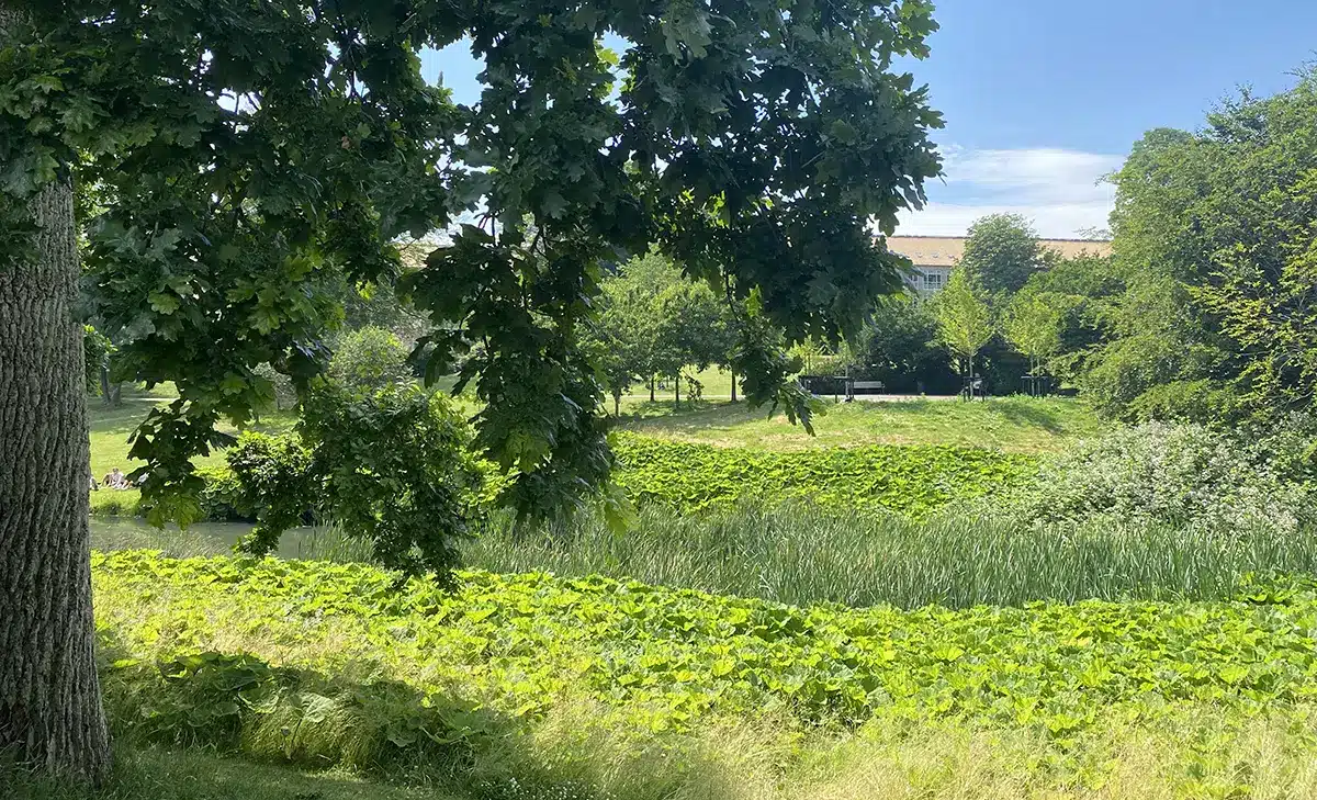 Vennelystparken_2458