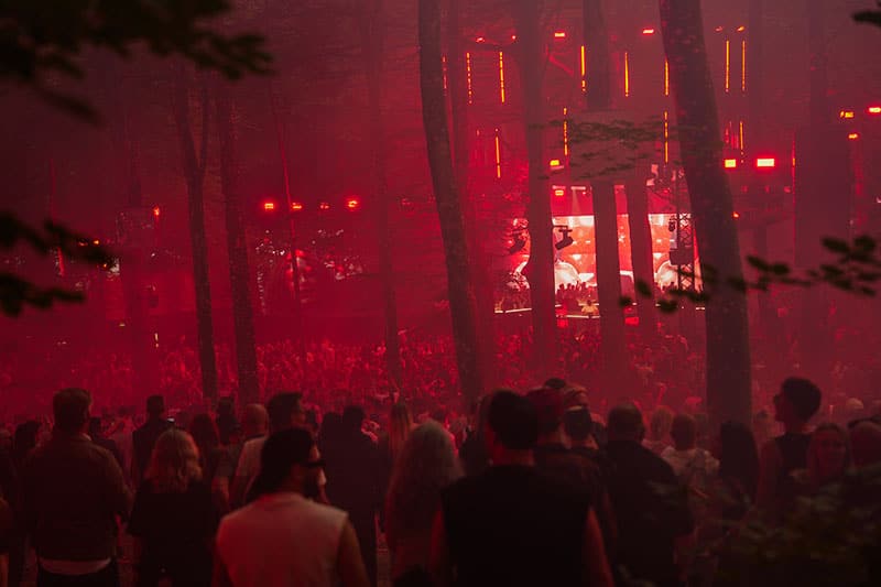 EKKO forvandler bøgeskoven til elektronisk fest