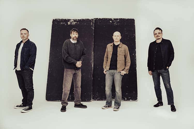 The Pineapple Thief